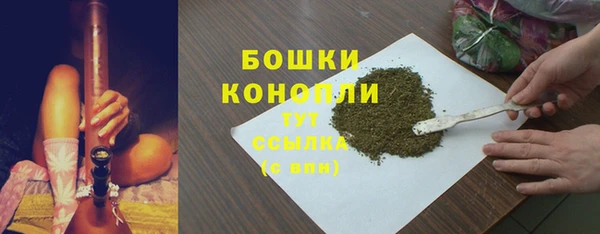 дживик Карпинск