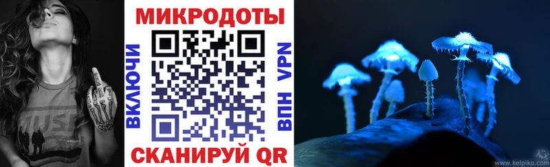 Купить  Волжск  Галлюциногенные грибы Psilocybe 