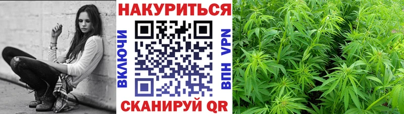 Купить закладки Волжск Марихуана ГИДРОПОН